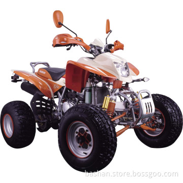 BS250S-11B atv